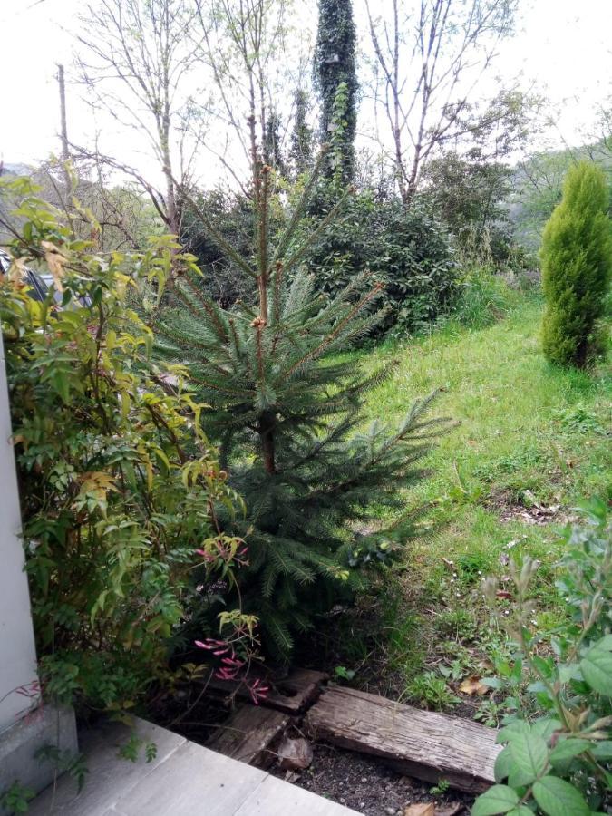 El Rinconin De Degu Villa San Juan de Parres Екстериор снимка